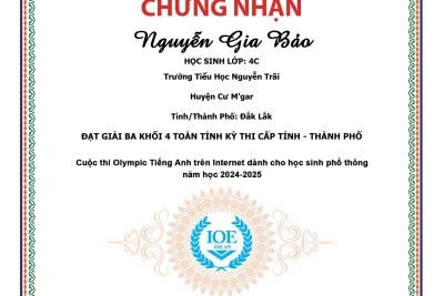 kết quả IOE tiếng Anh cấp tỉnh năm học 2024-2025