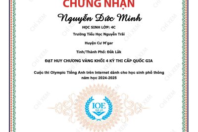 KẾT QUẢ IOE QUỐC GIA NĂM HỌC 2024-2025