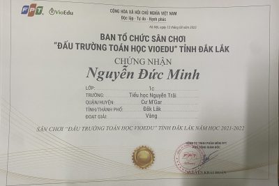 hình ảnh HS đạt cấp tỉnh Vioedu đấu trường toán học 21-22 ( 6 em)